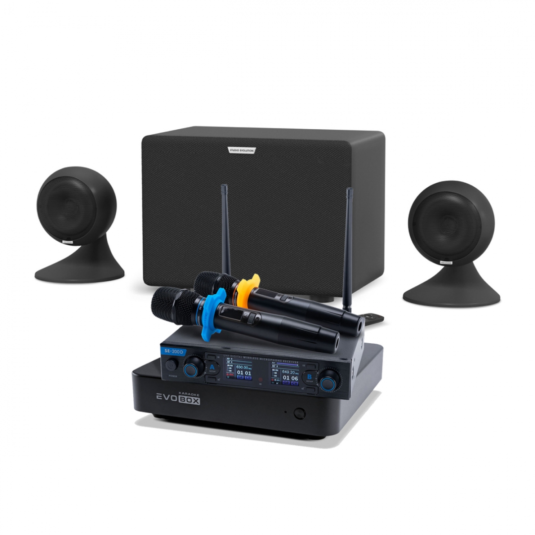 караоке-комплект EVOBOX + EvoSound Sphere 2.1 в Красноярске