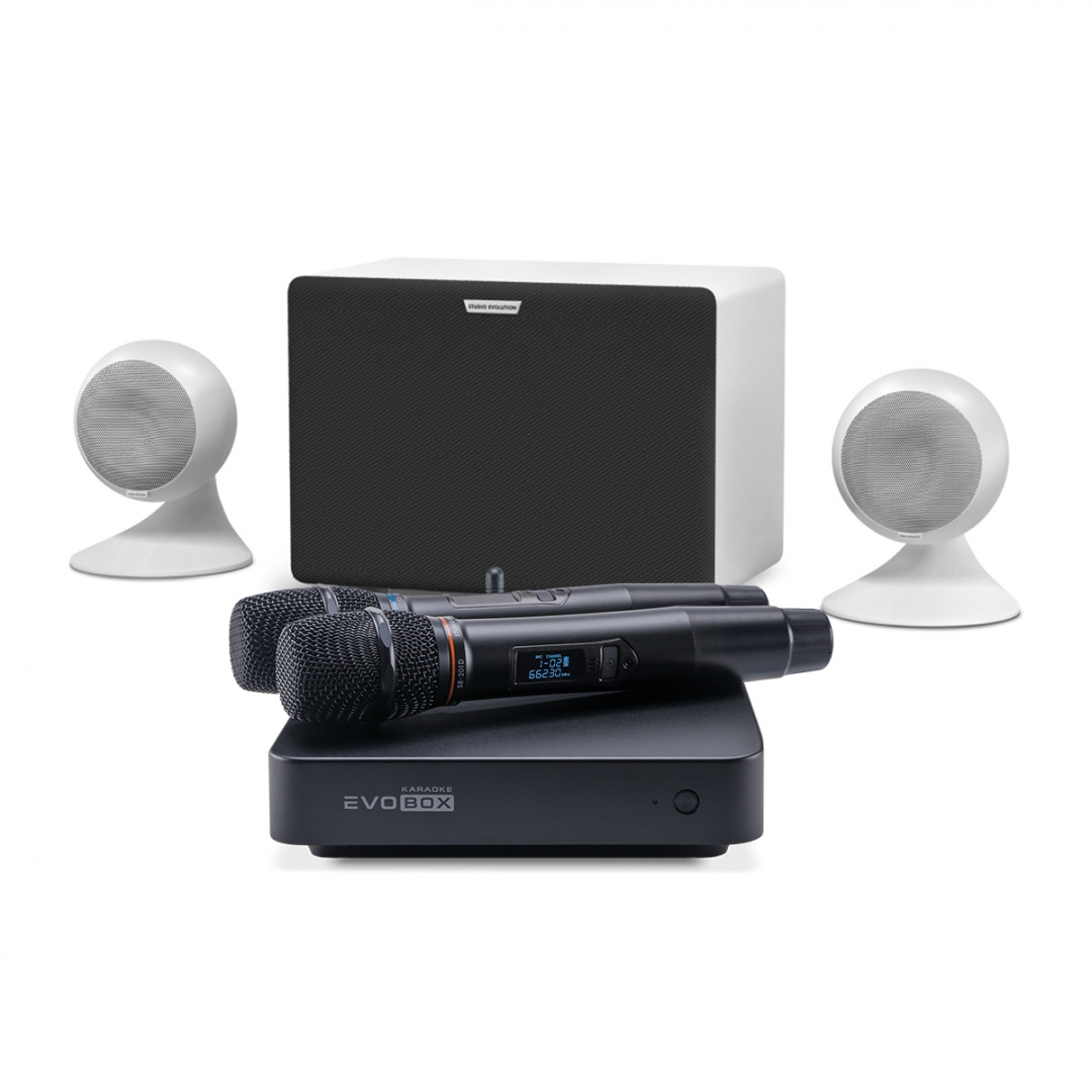 караоке-комплект EVOBOX Classic + EvoSound Sphere 2.1 в Красноярске