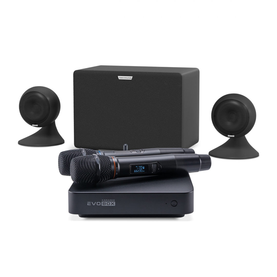 караоке-комплект EVOBOX Plus + EvoSound Sphere 2.1 в Красноярске