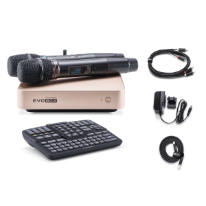 EVOBOX Classic караоке-система для дома в Красноярске
